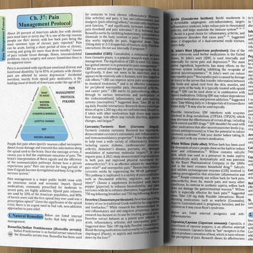 The Holistic Guide to Wellness — 45 Herbal Protocols for Common Ailments