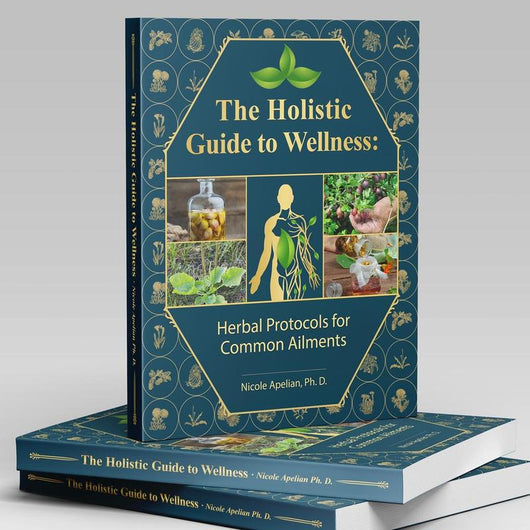 The Holistic Guide to Wellness — 45 Herbal Protocols for Common Ailments