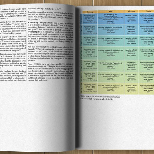 The Holistic Guide to Wellness — 45 Herbal Protocols for Common Ailments
