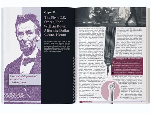 Survival Guide for The Next Great Depression Prepping & Financial Education