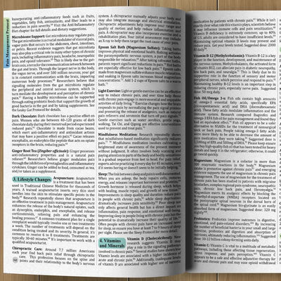 The Holistic Guide to Wellness — 45 Herbal Protocols for Common Ailments