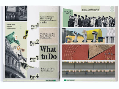 Survival Guide for The Next Great Depression Prepping & Financial Education