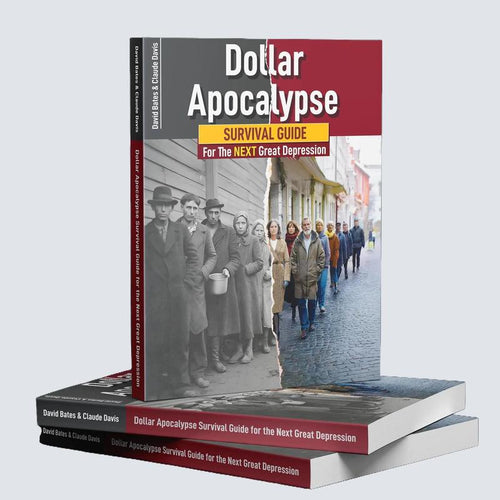Survival Guide for The Next Great Depression Prepping & Financial Education